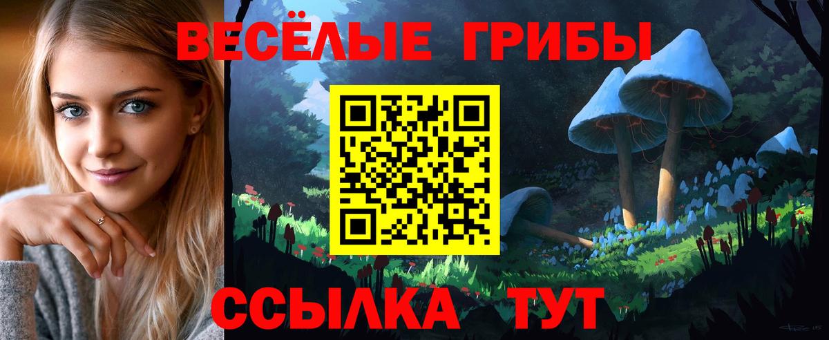 Галлюциногенные грибы ЛСД Астрахань