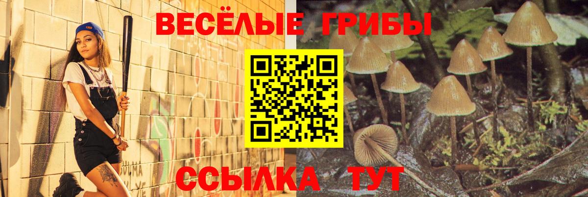 Астрахань  Псилоцибиновые грибы Cubensis  Псилоцибиновые грибы Psilocybine cubensis  Вход с VPN 